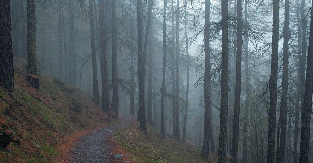 Three Layer Value Proposition That Sells Not Just Features